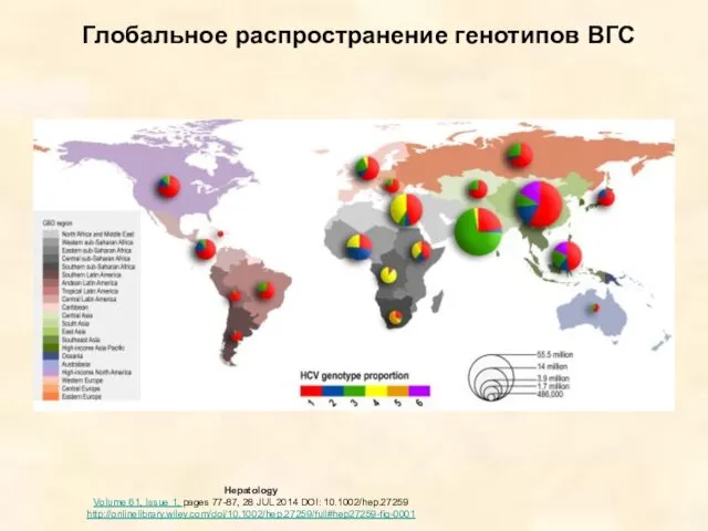 Глобальное распространение генотипов ВГС Hepatology Volume 61, Issue 1, pages