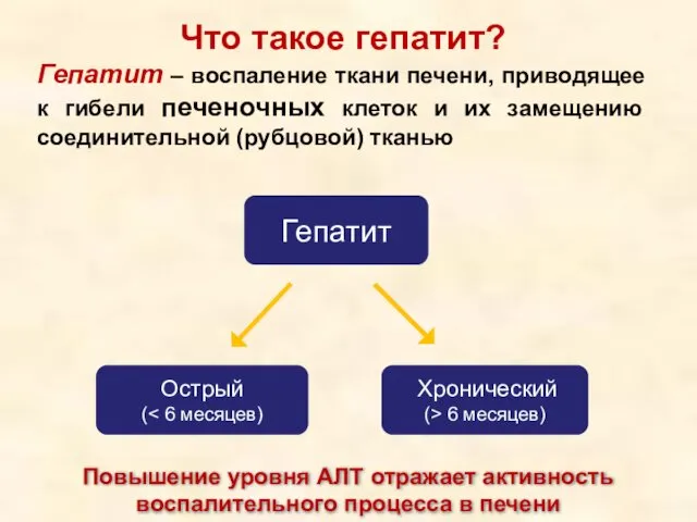 Что такое гепатит? Гепатит – воспаление ткани печени, приводящее к