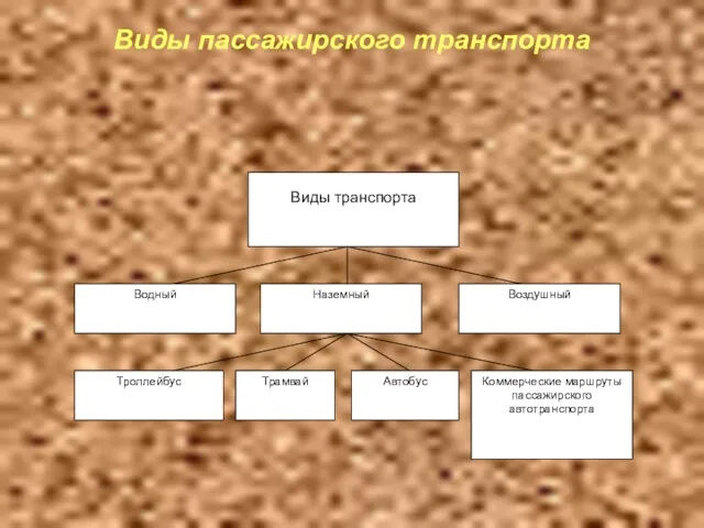 Виды пассажирского транспорта