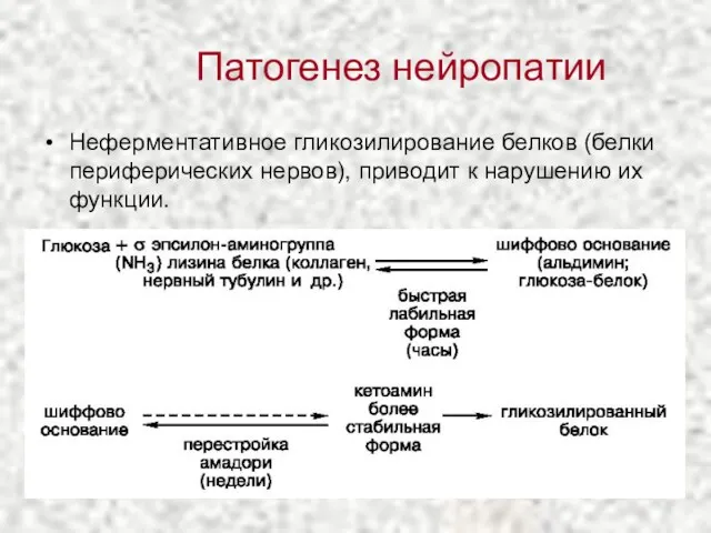 Неферментативное гликозилирование белков (белки периферических нервов), приводит к нарушению их функции. Патогенез нейропатии