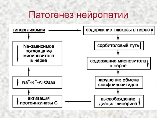 Патогенез нейропатии