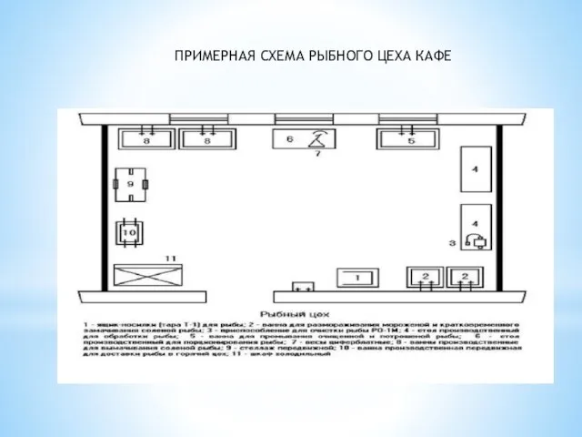 ПРИМЕРНАЯ СХЕМА РЫБНОГО ЦЕХА КАФЕ