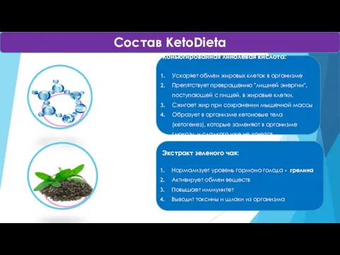 Состав KetoDieta Коньюгированная линолевая кислота: Ускоряет обмен жировых клеток в