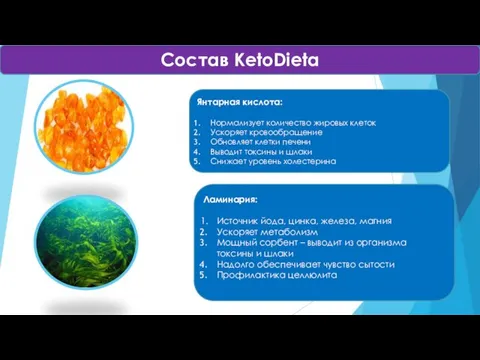 Состав KetoDieta Янтарная кислота: Нормализует количество жировых клеток Ускоряет кровообращение