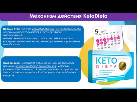 Механизм действия KetoDieta Первый этап - за счет конъюгированной линолевой