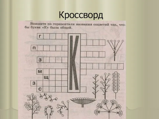 Кроссворд