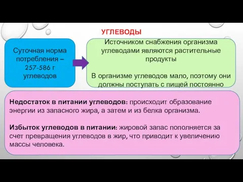 УГЛЕВОДЫ . Суточная норма потребления – 257-586 г углеводов Источником