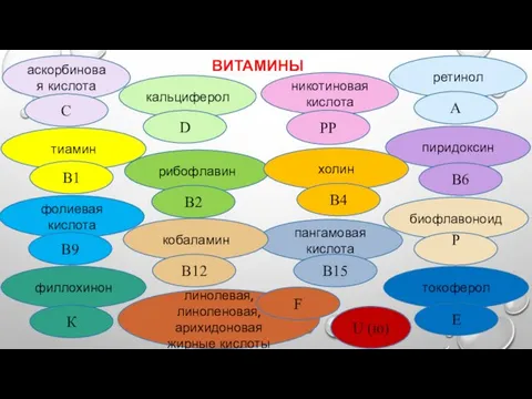 ВИТАМИНЫ аскорбиновая кислота кальциферол никотиновая кислота ретинол тиамин С D