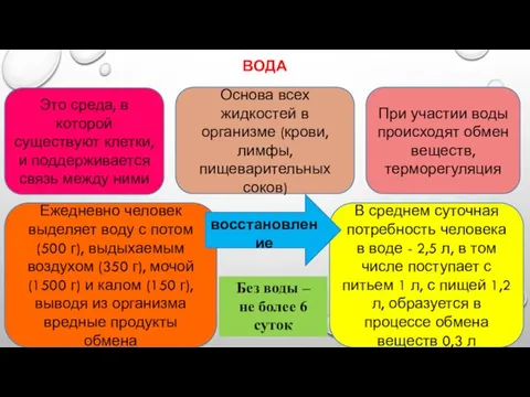 ВОДА Это среда, в которой существуют клетки, и поддерживается связь