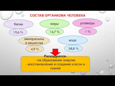 СОСТАВ ОРГАНИЗМА ЧЕЛОВЕКА белки жиры углеводы вода минеральные вещества 19,6