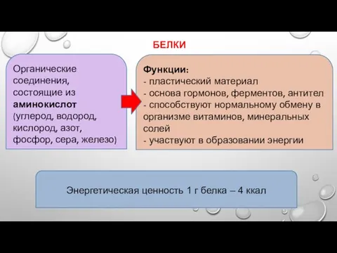 БЕЛКИ Органические соединения, состоящие из аминокислот (углерод, водород, кислород, азот,