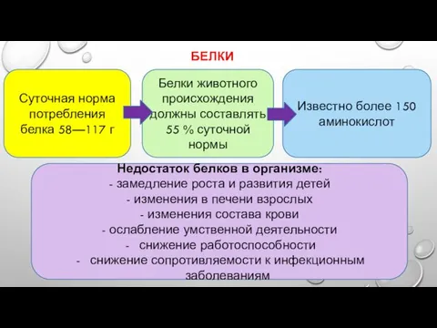 БЕЛКИ . Суточная норма потребления белка 58—117 г Белки животного