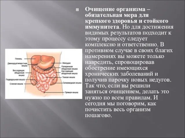 Очищение организма – обязательная мера для крепкого здоровья и стойкого иммунитета. Но для