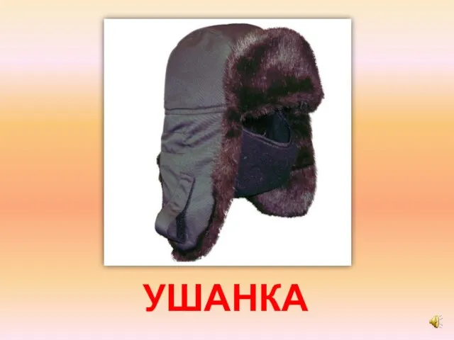 УШАНКА