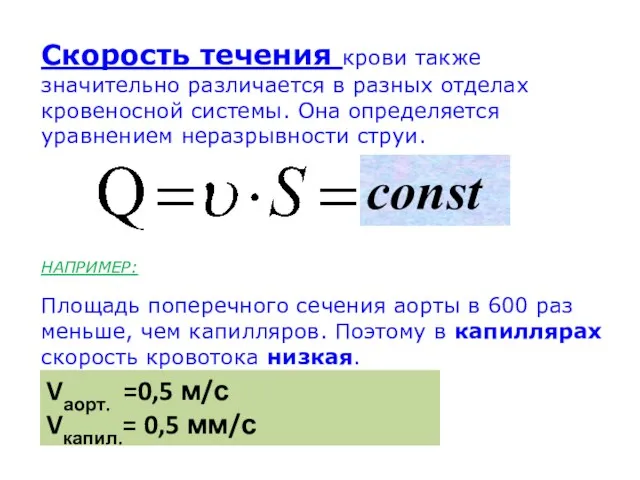 Скорость течения крови также значительно различается в разных отделах кровеносной системы. Она определяется