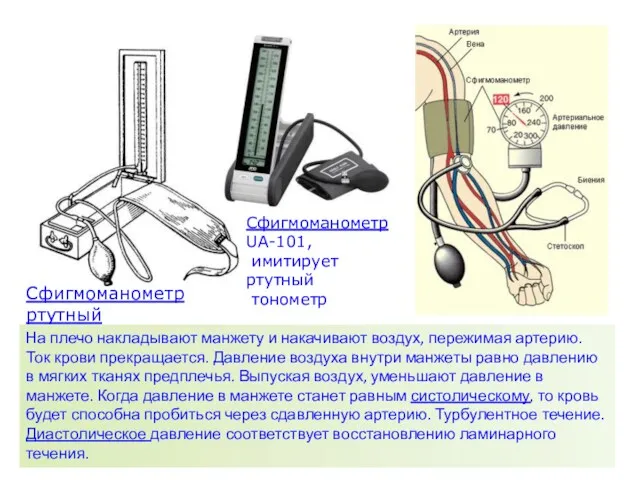 Сфигмоманометр ртутный Сфигмоманометр UA-101, имитирует ртутный тонометр На плечо накладывают манжету и накачивают