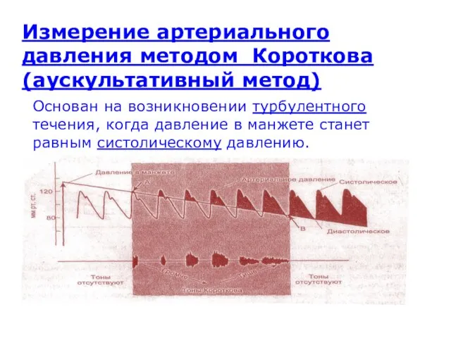 Измерение артериального давления методом Короткова (аускультативный метод) Основан на возникновении