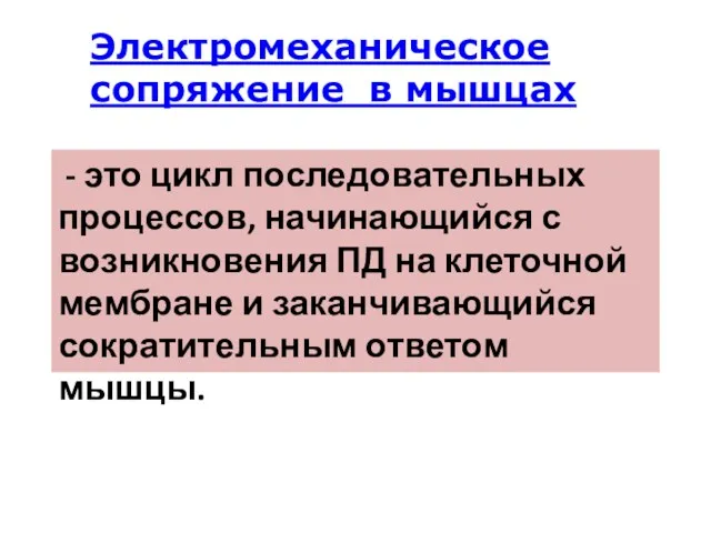 Электромеханическое сопряжение в мышцах - это цикл последовательных процессов, начинающийся