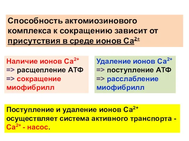 Способность актомиозинового комплекса к сокращению зависит от присутствия в среде