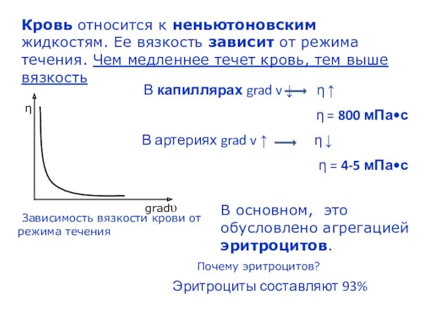 Кровь относится к неньютоновским жидкостям. Ее вязкость зависит от режима