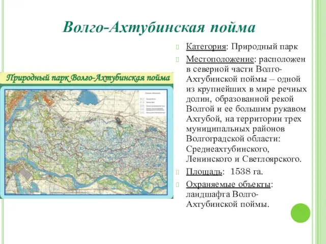 Волго-Ахтубинская пойма Категория: Природный парк Местоположение: расположен в северной части