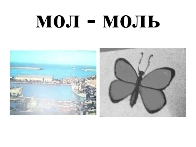 мол - моль