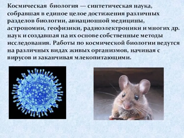 Космическая биология — синтетическая наука, собравшая в единое целое достижения различных разделов биологии,