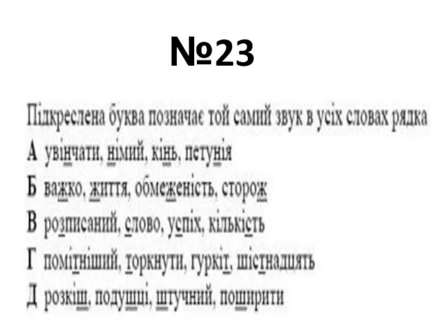 №23