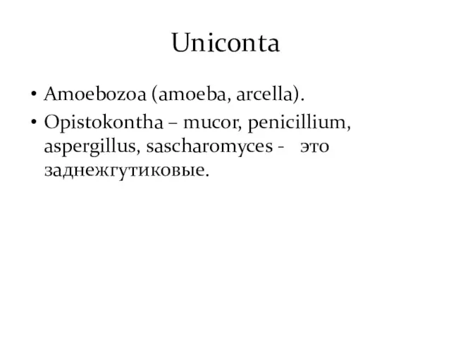 Uniconta Amoebozoa (amoeba, arcella). Opistokontha – mucor, penicillium, aspergillus, sascharomyces - это заднежгутиковые.