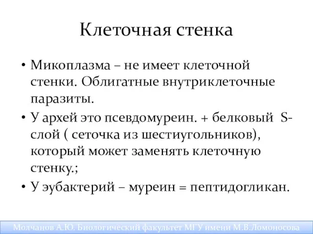 Клеточная стенка Микоплазма – не имеет клеточной стенки. Облигатные внутриклеточные