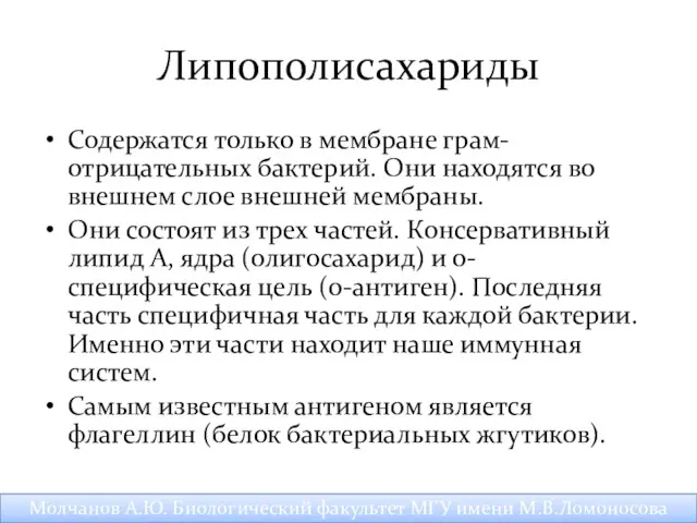 Липополисахариды Содержатся только в мембране грам-отрицательных бактерий. Они находятся во