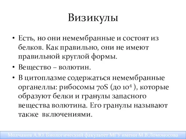 Визикулы Есть, но они немембранные и состоят из белков. Как