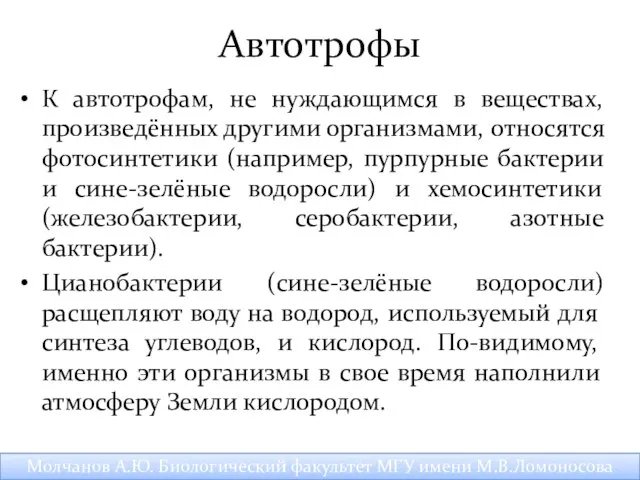 Автотрофы К автотрофам, не нуждающимся в веществах, произведённых другими организмами,