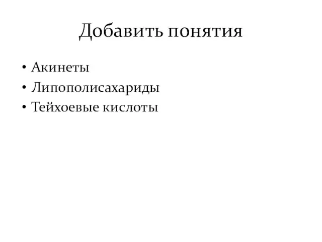 Добавить понятия Акинеты Липополисахариды Тейхоевые кислоты