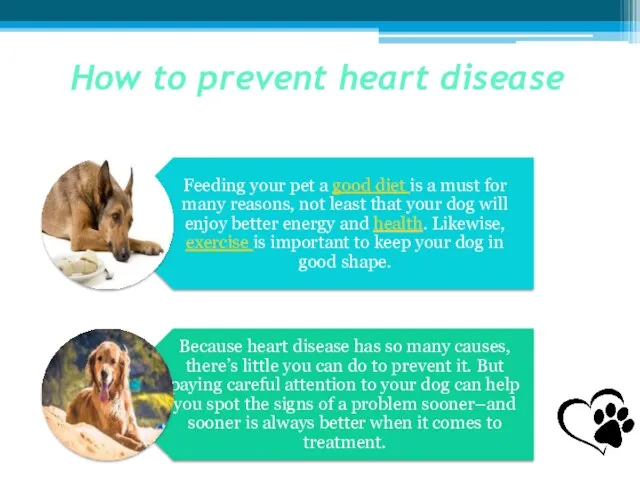 How to prevent heart disease