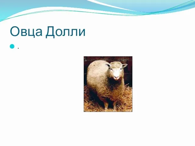 Овца Долли .