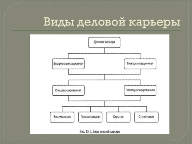 Виды деловой карьеры