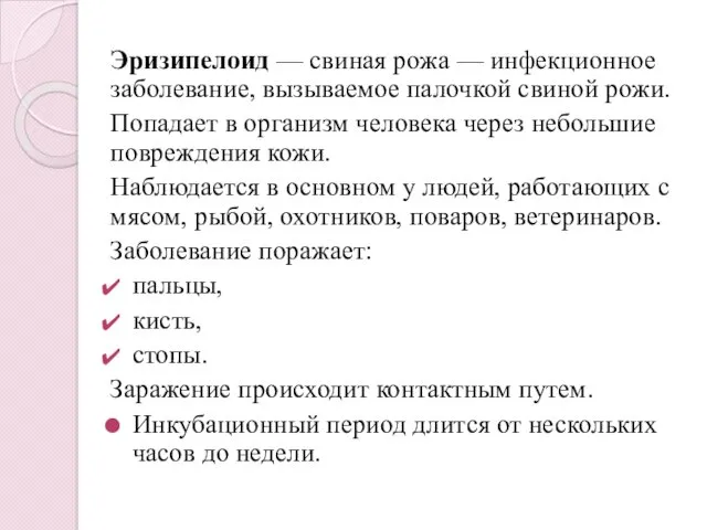 Эризипелоид — свиная рожа — инфекционное заболевание, вызываемое палочкой свиной