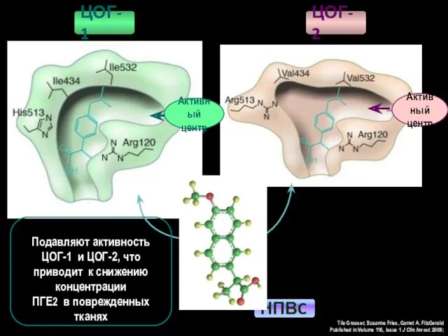 ЦОГ-2 ЦОГ-1 Tilo Grosser, Susanne Fries, Garret A. FitzGerald Published in Volume 116,