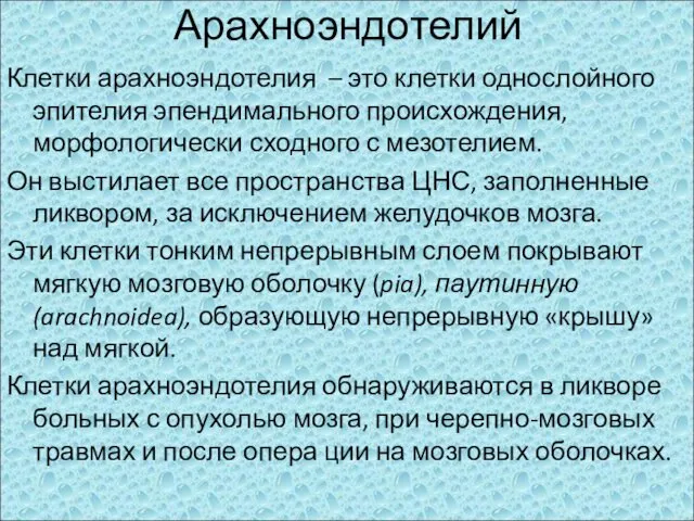 Арахноэндотелий Клетки арахноэндотелия – это клетки однослойного эпителия эпендимального происхождения,