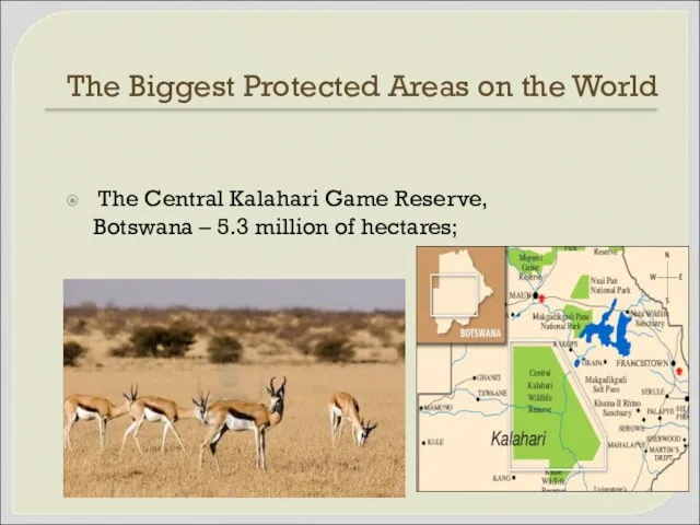 The Biggest Protected Areas on the World The Central Kalahari Game Reserve, Botswana
