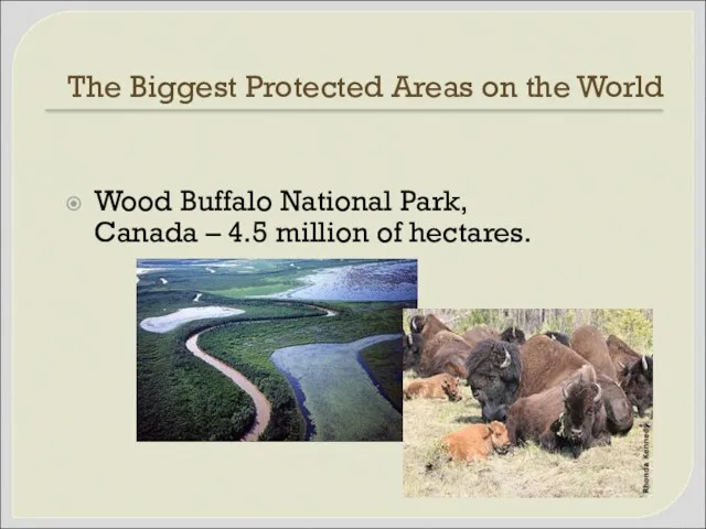 The Biggest Protected Areas on the World Wood Buffalo National Park, Canada –