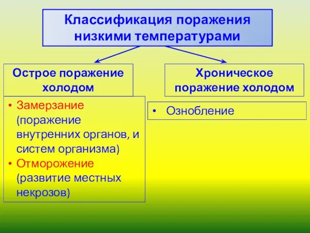 Классификация поражения низкими температурами Острое поражение холодом Замерзание (поражение внутренних