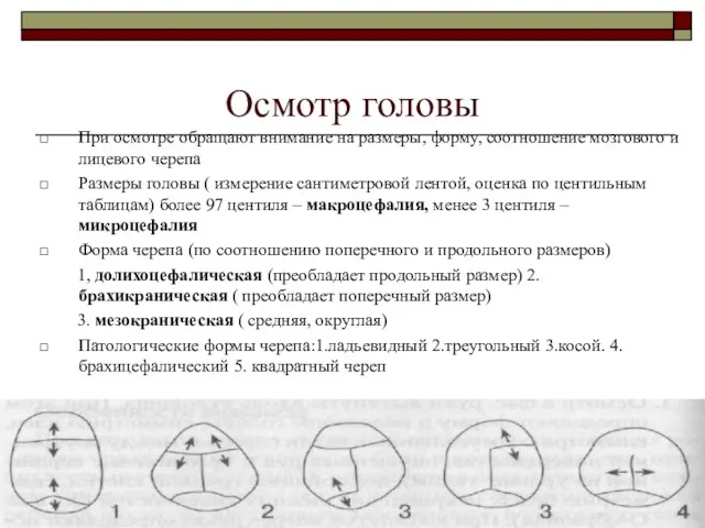 Осмотр головы При осмотре обращают внимание на размеры, форму, соотношение мозгового и лицевого