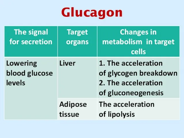 Glucagon