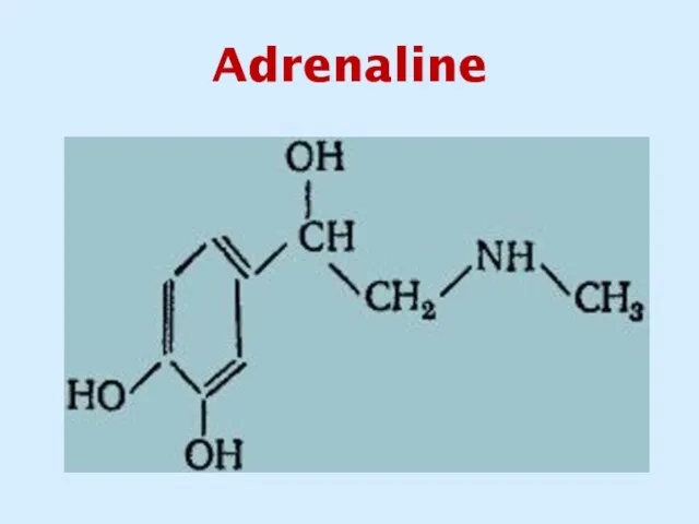 Adrenaline