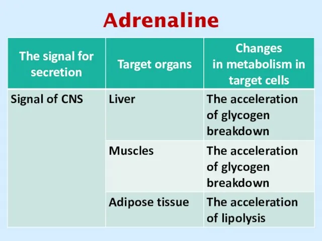 Adrenaline