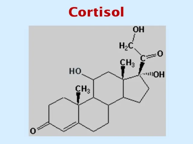 Cortisol