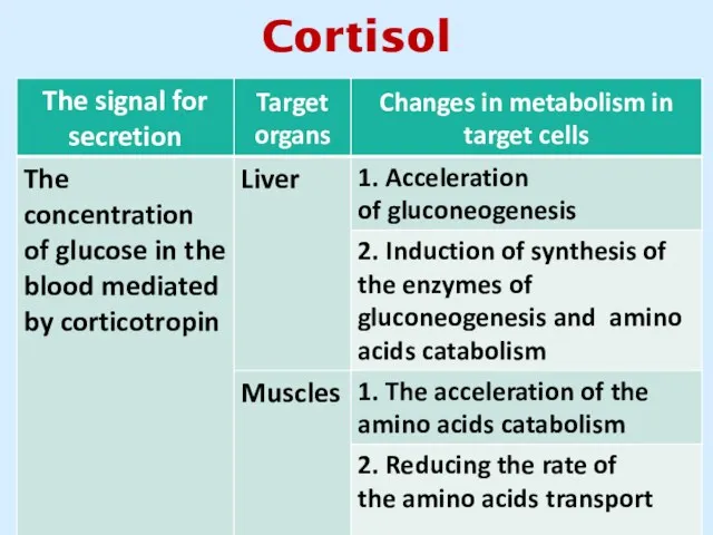 Cortisol