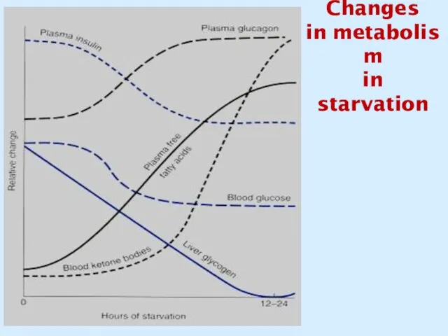 Changes in metabolism in starvation